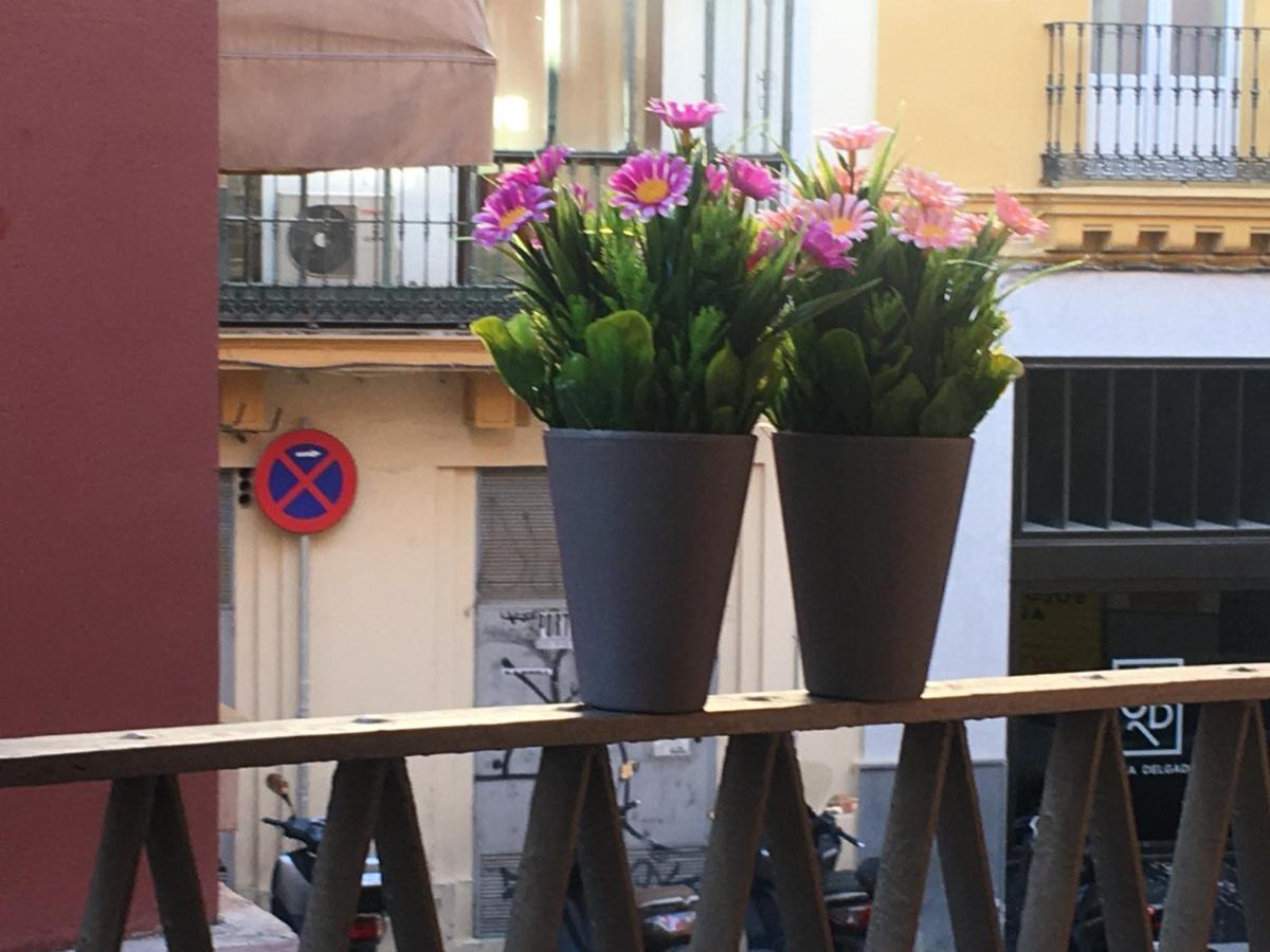 Jimios Alcazar Catedral Apartment Seville Ngoại thất bức ảnh