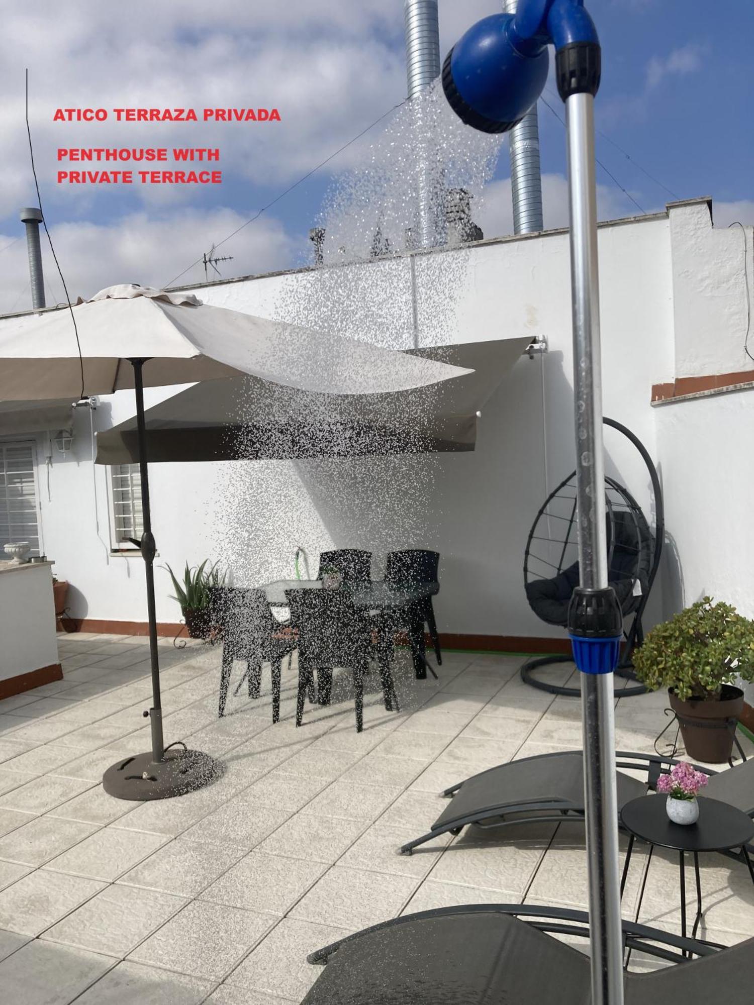 Jimios Alcazar Catedral Apartment Seville Ngoại thất bức ảnh